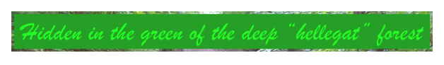 Hidden in the green of the deep “hellegat” forest